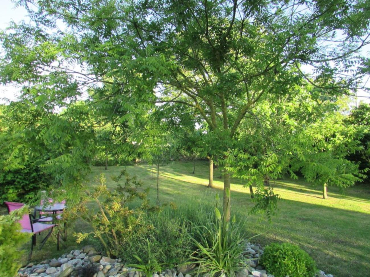 Holiday home Logis De Chalons A La Le Gua (Charente-Maritime)