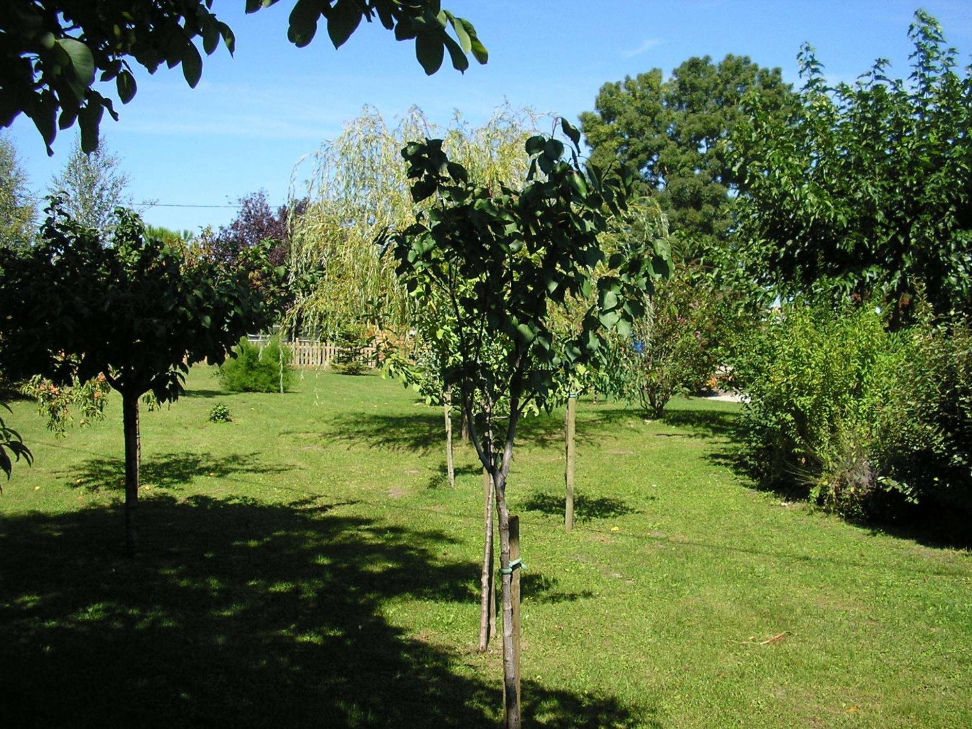 Logis De Chalons A La *