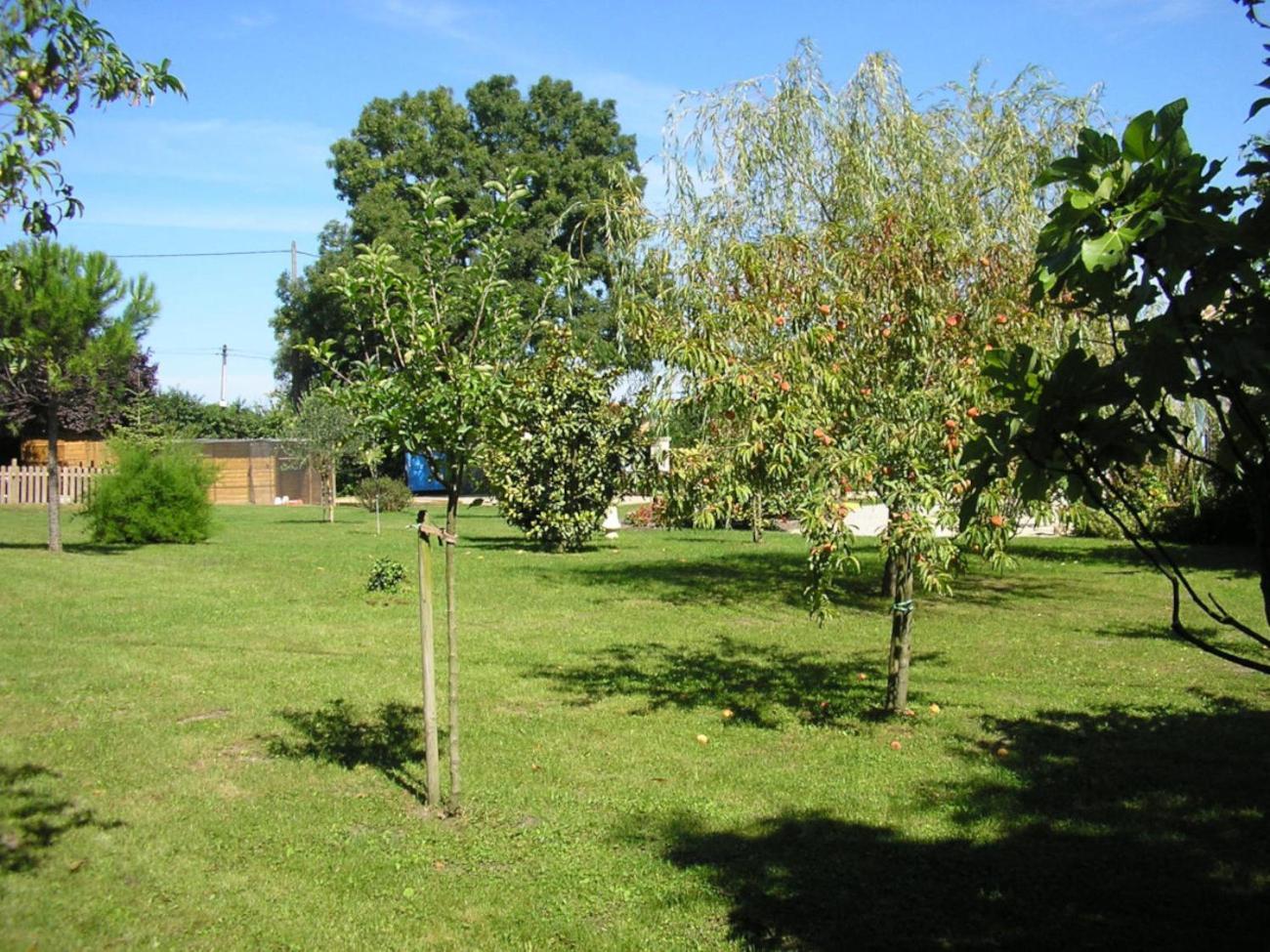 Logis De Chalons A La Le Gua (Charente-Maritime)