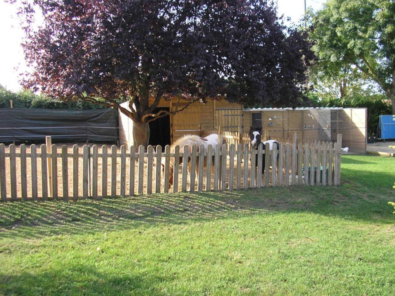 Holiday home Logis De Chalons A La Le Gua (Charente-Maritime)