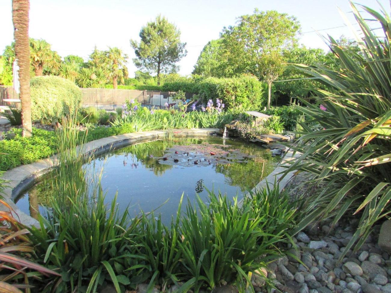 Logis De Chalons A La Le Gua (Charente-Maritime)