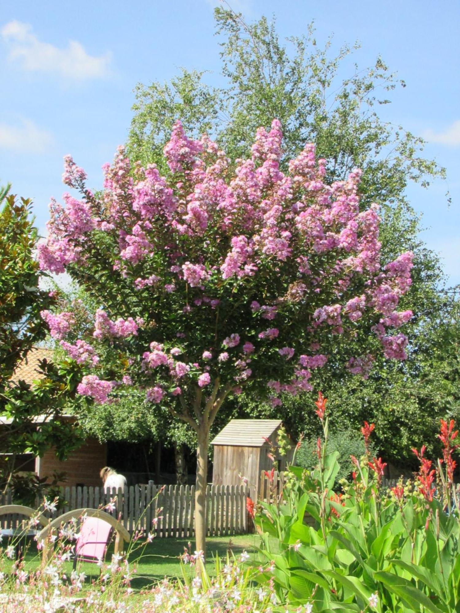 Logis De Chalons A La * Le Gua (Charente-Maritime)
